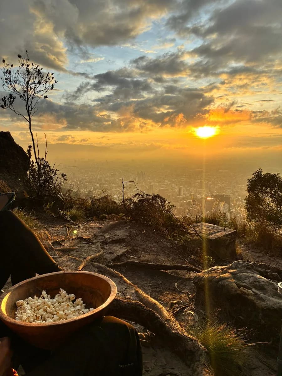 Banner de Live Happy