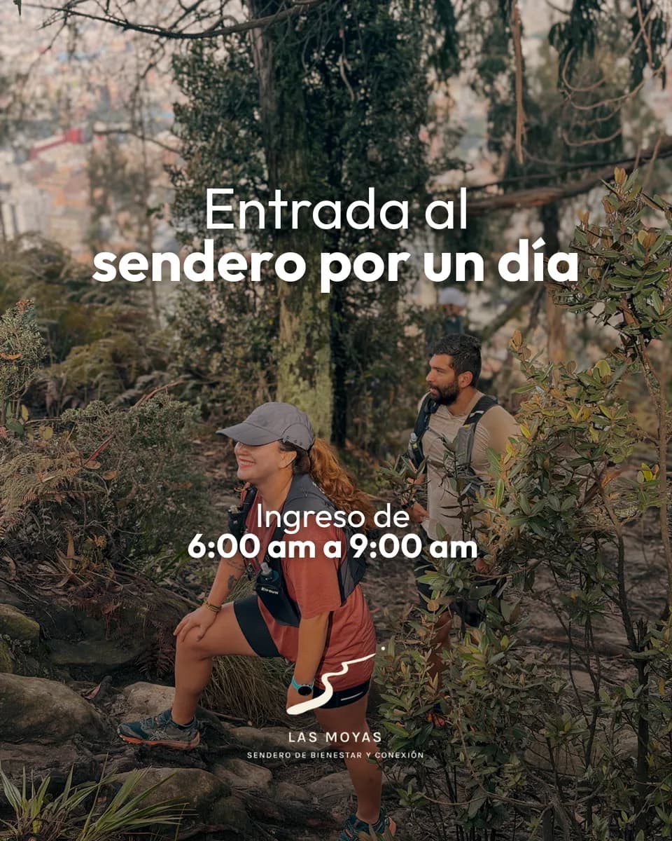 Entrada Por día a Las Moyas