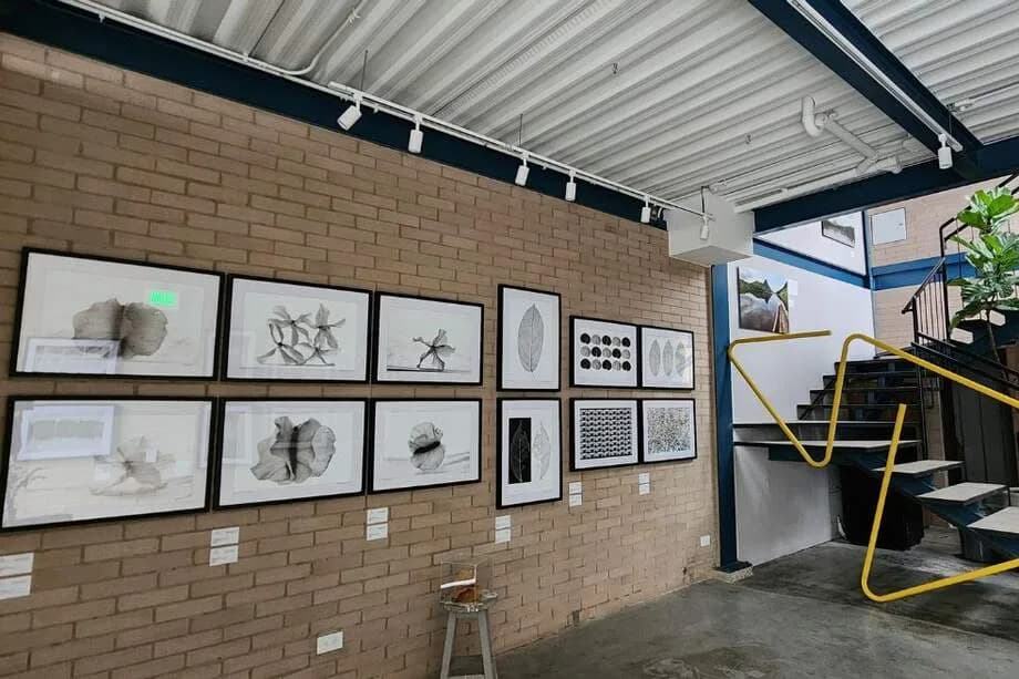 Banner de El Azulejo